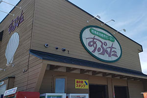 道の駅あぷたの外観