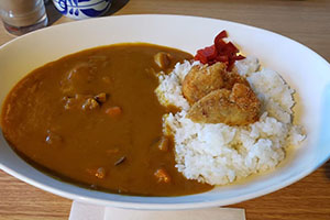 カレーの写真