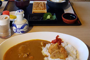 カレーとうに丼の写真