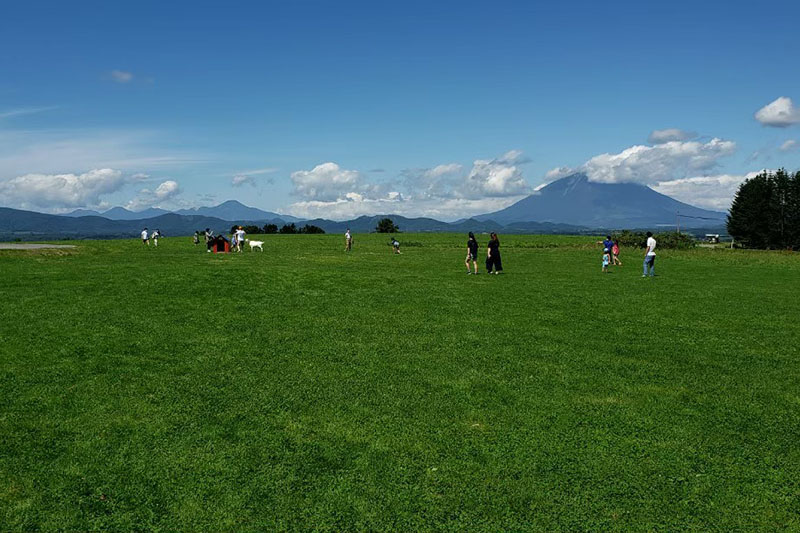 天気が良く、レークヒル・ファームに広がる緑と空の写真